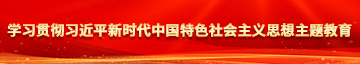 插入激情啊啊啊舔舔插学习贯彻习近平新时代中国特色社会主义思想主题教育